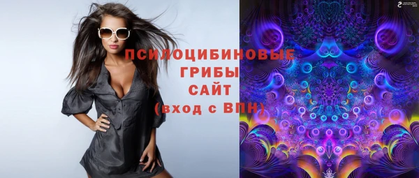 ешки Медвежьегорск