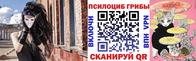 Псилоцибиновые грибы Cubensis  Великий Новгород 